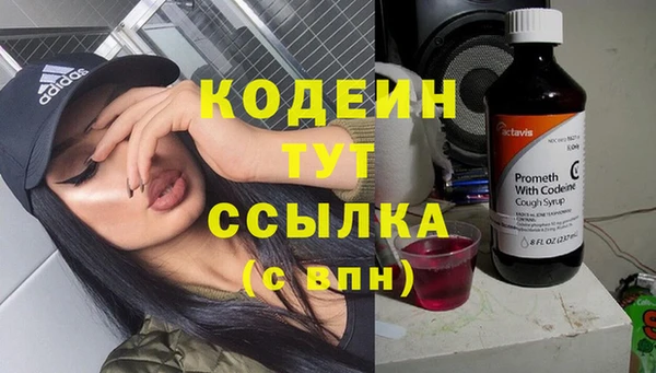 эйфоретик Горняк