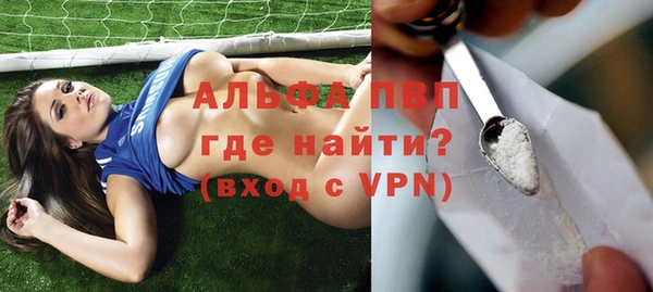 бошки Вяземский