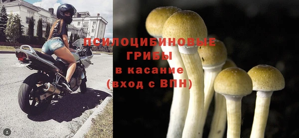 молекула духа Горнозаводск