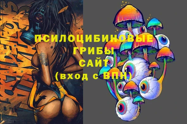 шишки Горно-Алтайск