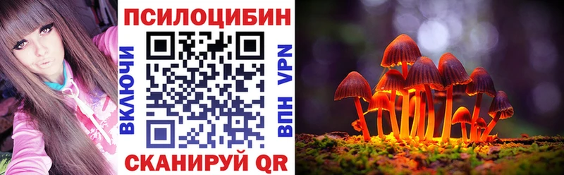 Купить  Певек  Псилоцибиновые грибы прущие грибы 